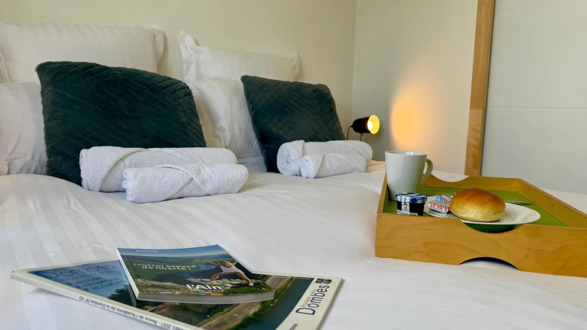 Chambres d'hôtes Gite Grange Debout Beynost Frankrijk